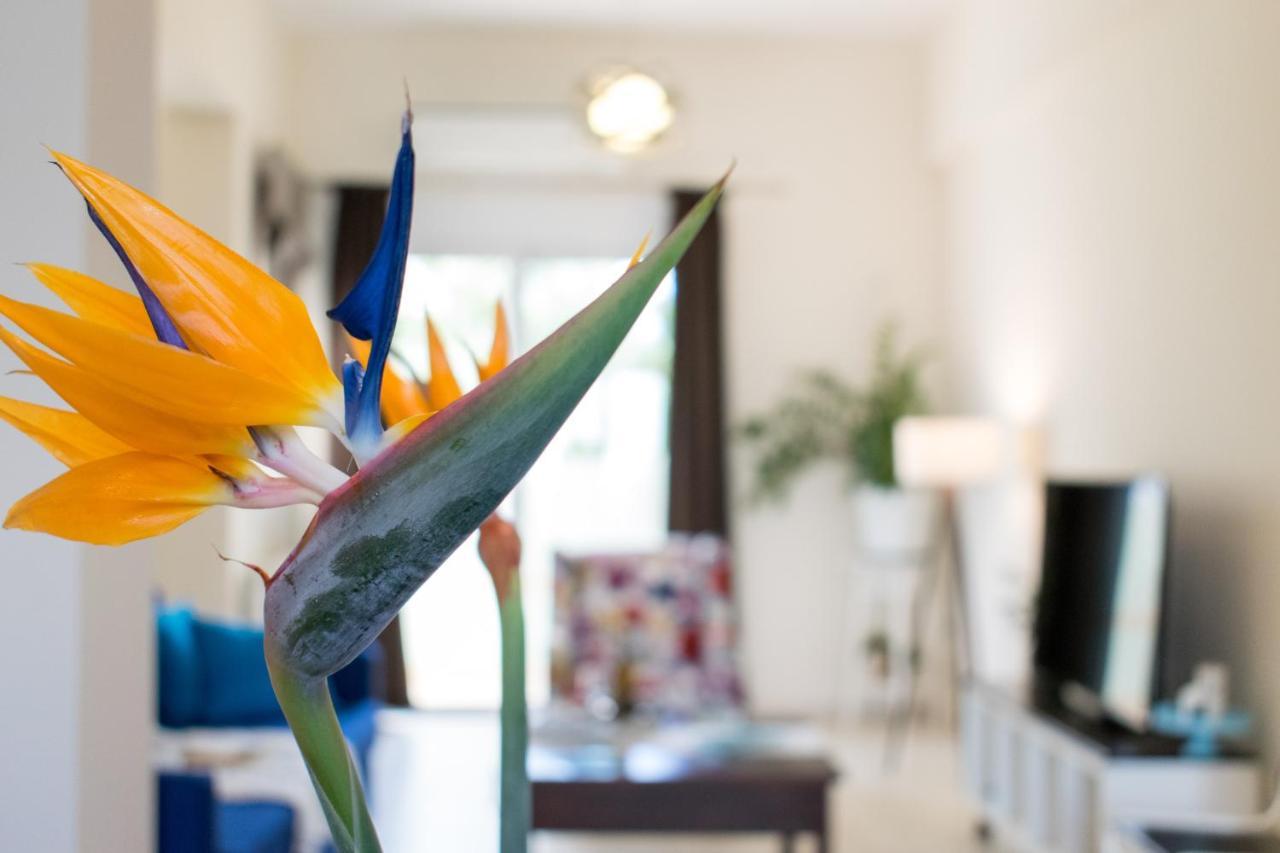 Blue Iris: Stylish Apartment Just 10 Minutes Walk From Old Town Chania Hanya Dış mekan fotoğraf